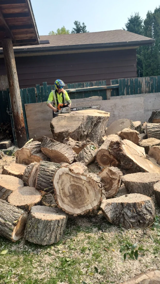 Vallis Arbor tree work photo 4